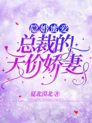 隐婚蜜爱:总裁的天价娇妻 隐婚蜜爱:总裁的天价娇妻